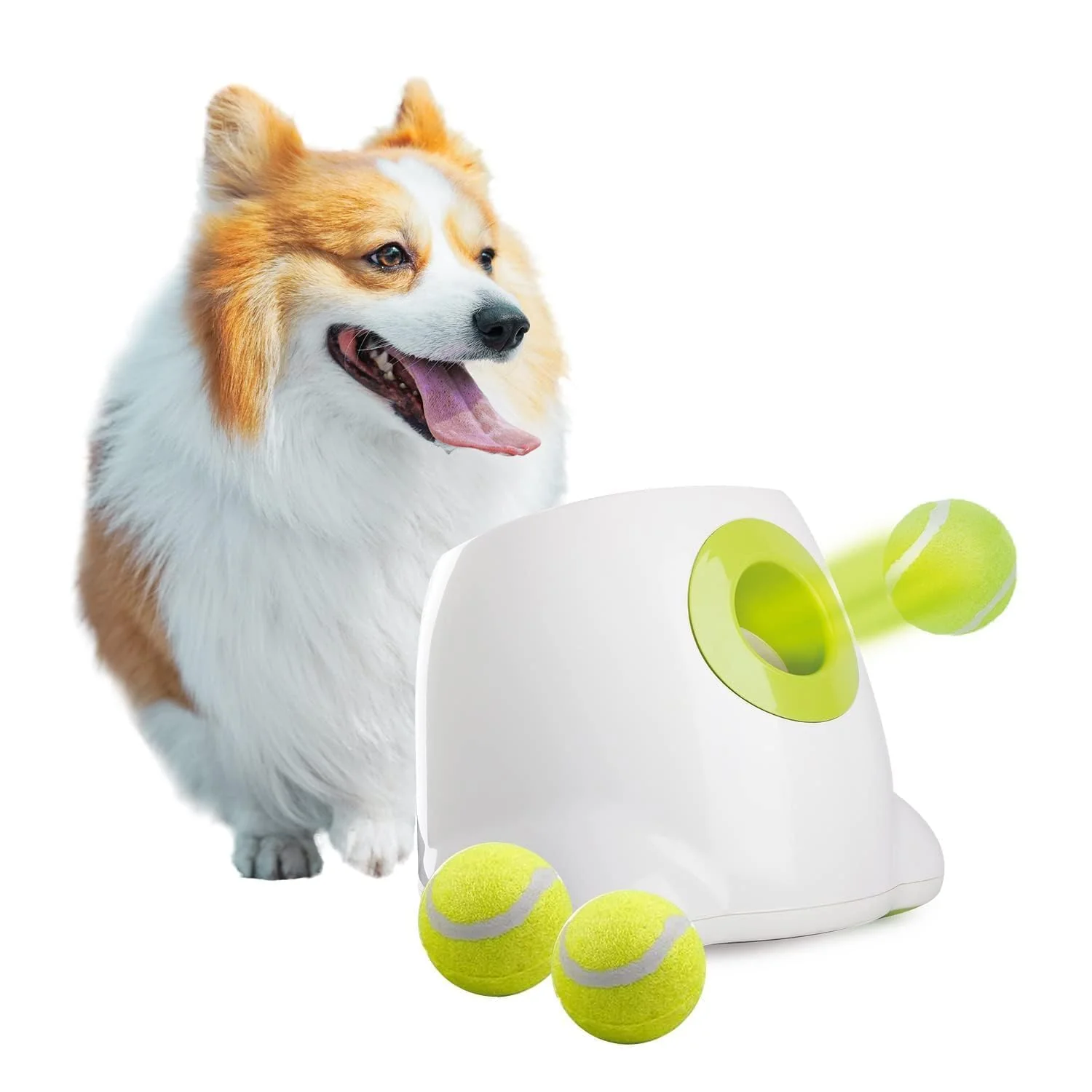 Traditional ALL FOR PAWS Automatic Ball Launcher for Dogs – Interactive Indoor Fetch 3 Balls Included Convenient