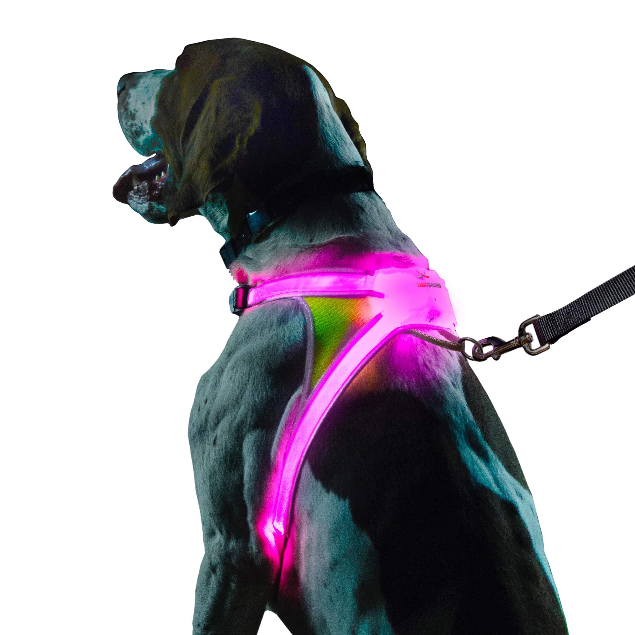 Consistent Noxgear LightHound - Multicolor LED Illuminated Reflective Dog Harness Medium 360° Visibility Convenient