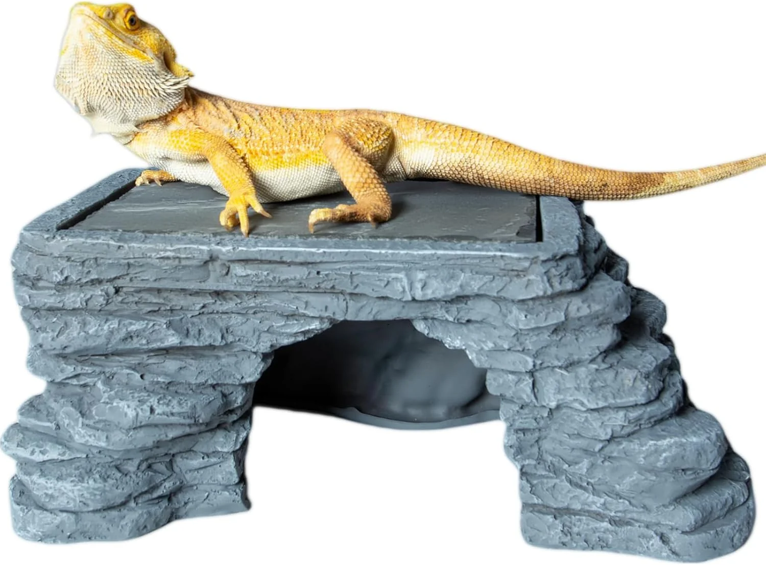 First-Class Bearded Dragon Basking Platform Reptile Hides and Caves Large Reptile Basking Rock for Adult Juvenile Bearded Dragon Gecko Lizard Turtle Slate Rock Climing Hideout Organic