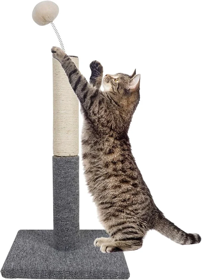 Advanced Cat Scratching Post with Carpet Botton Base and Spring Teasing Toy Ball for Indoor Cats and Kittens GreyAbout ThisOverview Next-Generation