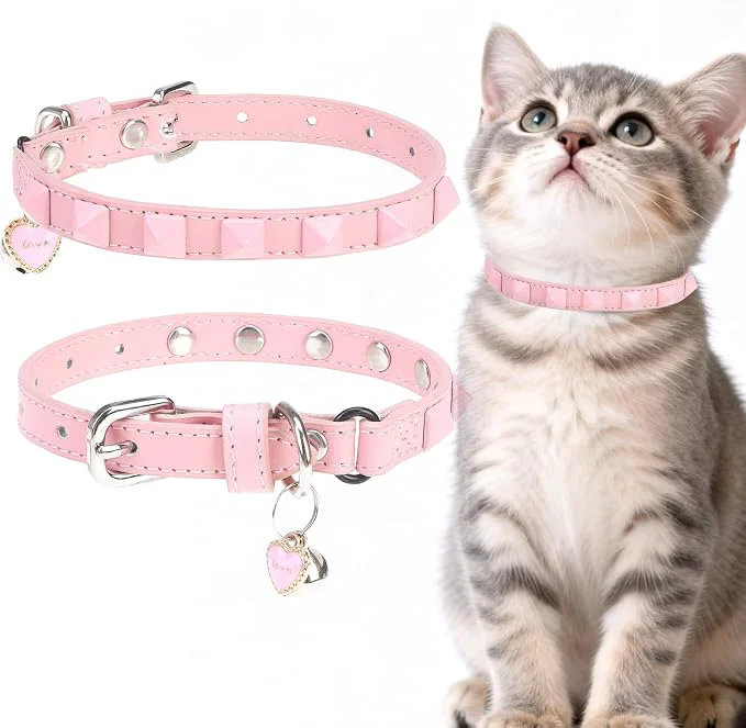 Elite EXPAWLORER Halloween Leather Cat Collar Lightweight
