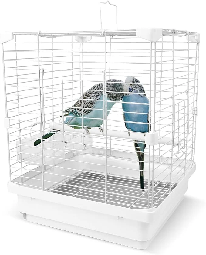 Responsible Small Bird Cage for Parakeets Budgies Canaries and More Small Birds Safe