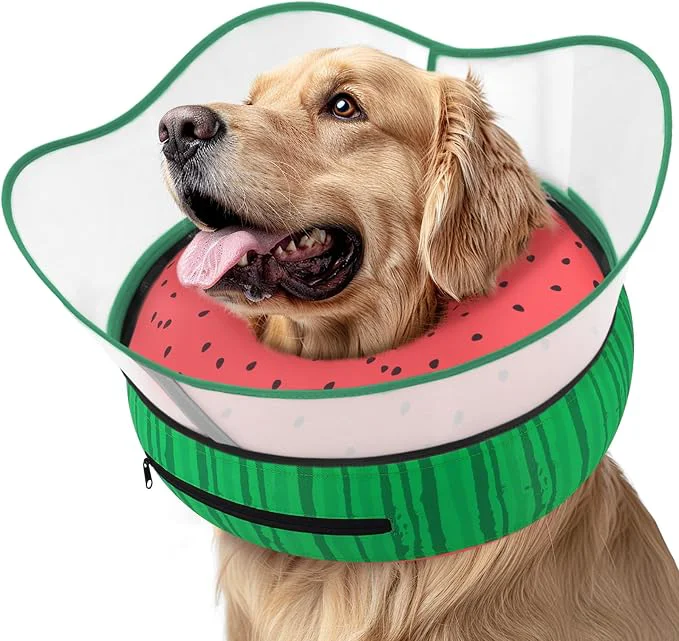 High-Quality Supet Raised Inflatable Dog Cone Collar to Stop Licking Soft Dog Cone Superior