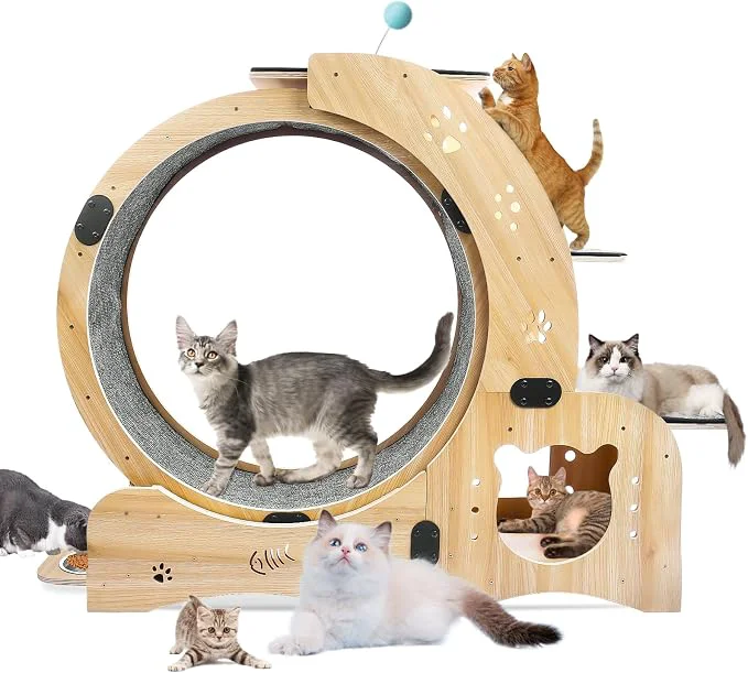 Smooth Cat Running Wheel Cat Treadmill Expertly Made