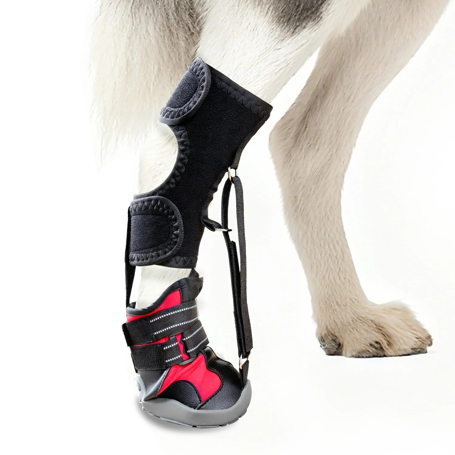 Enhanced Apedret Toe Grips for Senior Dogs – Strap-On Drop Foot Brace XL for Safer Walking Modern