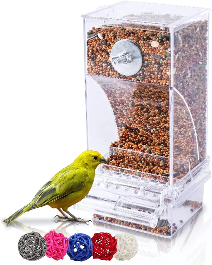 Effective Hamiledyi Automatic Parrot Feeder Unique