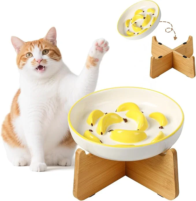 Functional d Slow Feeder Cat Bowl - Ceramic Cat Food Plate with Anti-Slip Bamboo Stand - Whisker Friendly Feeding Bowl - Shallow Maze Dish for Slow Eating - YellowAbout ThisOverview Excellent