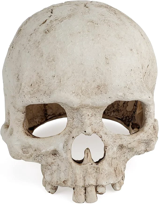 Smart Uniclife Aquarium Skull Reptile House Decor Resin Head Skeleton Ornament Elegant