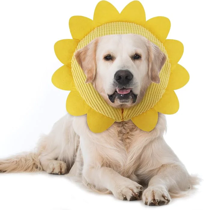 Superior IEUUMLER Inflatable Recovery Dog Collar Protective Donut Cone Adjustable Soft Elegant