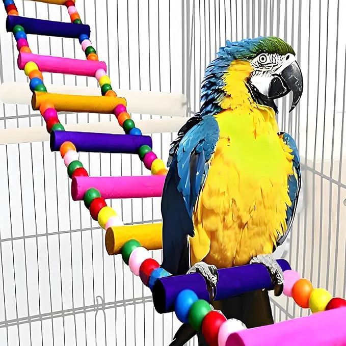 Dependable Bird Toys for Parrots Parrot Bridge Swing Toys and Ladders for Macaws Selected