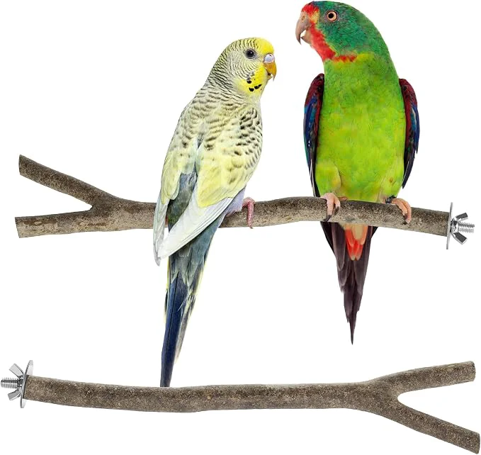 First-Class Niteangel Natural Wooden Perches Healthy