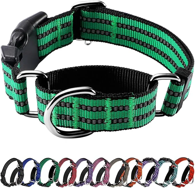 Classic Hikiko Martingale Dog Collars Reflective Nylon Dog Collar Advanced