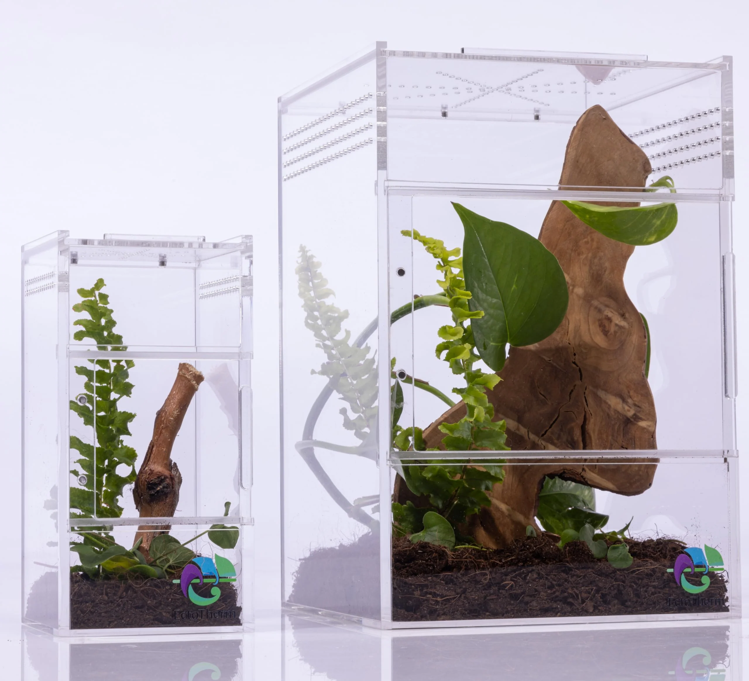 Traditional EctoTherm Jumping Spider Enclosure — Durable Acrylic Arbo Habitat Terrarium Kit Tarantula Enclosure Smooth