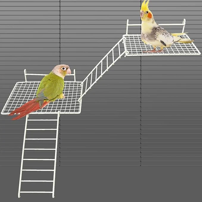 Consistent BNOSDM 4 PCS Bird Perches Platform Stainless Steel Grid Platform Secure