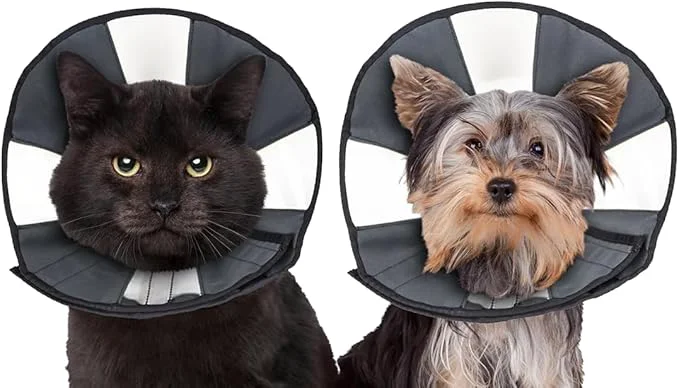 Trendy ZenPet Recovery Cone E-Collar for Dogs Cats – Soft Comfortable Safe Exclusive