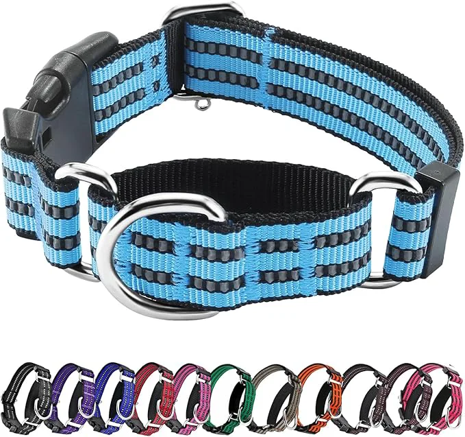 Traditional Hikiko Martingale Dog Collars Reflective Nylon Dog Collar Contemporary