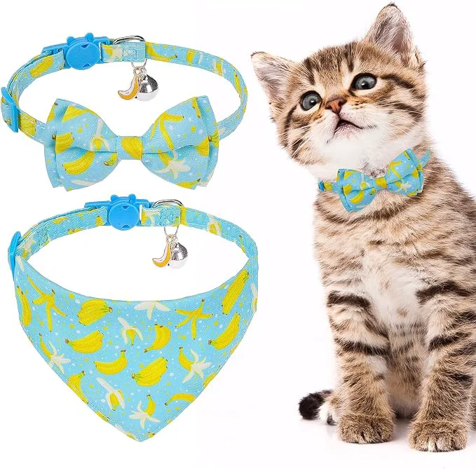 Sophisticated EXPAWLORER Cute Cat Collar Breakaway Healthy