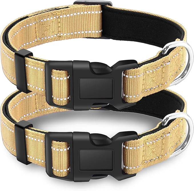 Stylish 2 Pack Reflective Dog Collar Specialty