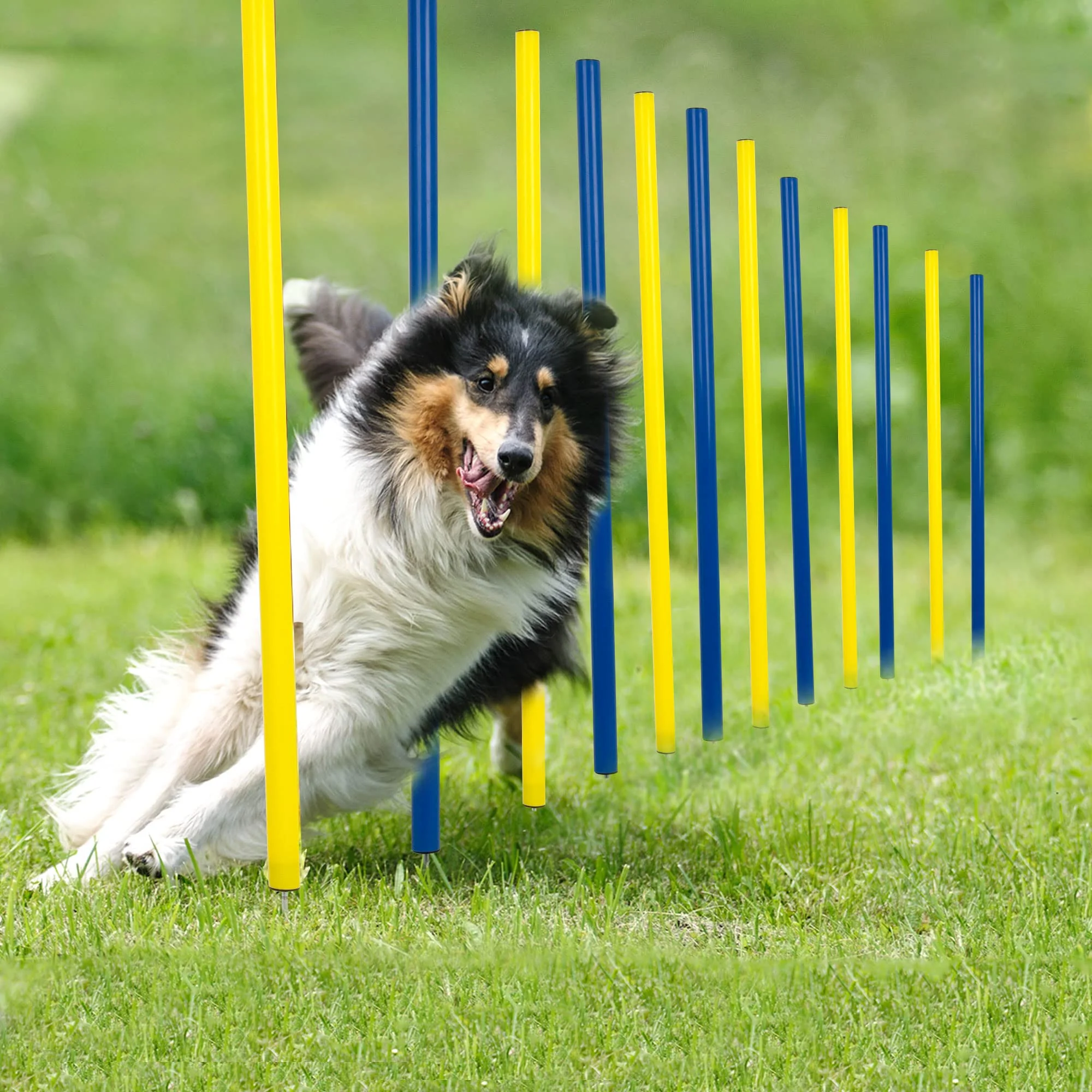 Top-Quality Pet Prime 12 Pcs Weave Poles Slalom Set for Backyard Dog Agility Training Clean