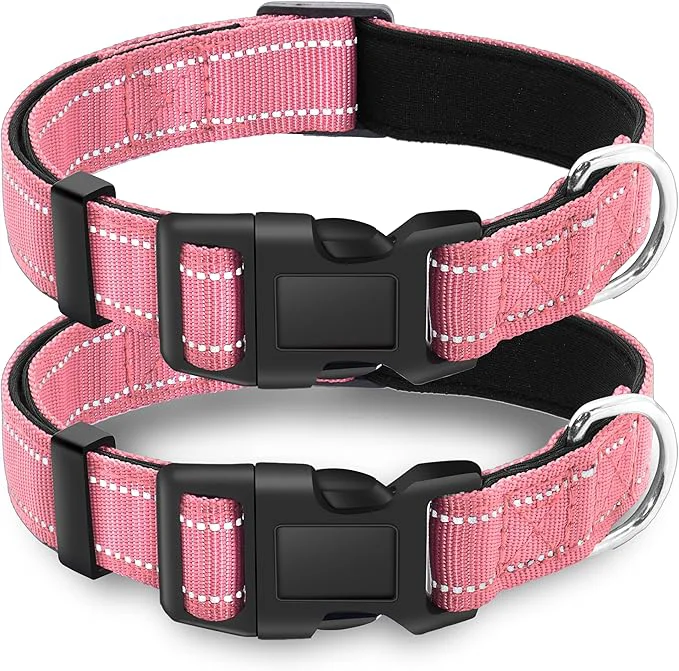 Clean 2 Pack Reflective Dog Collar Official