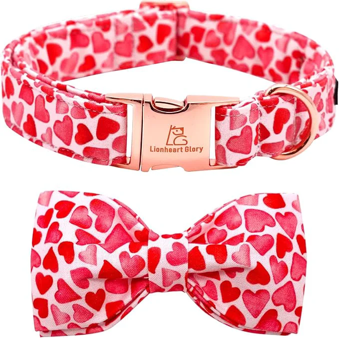 Innovative Lionheart Glory Dog Bow Collar Powerful
