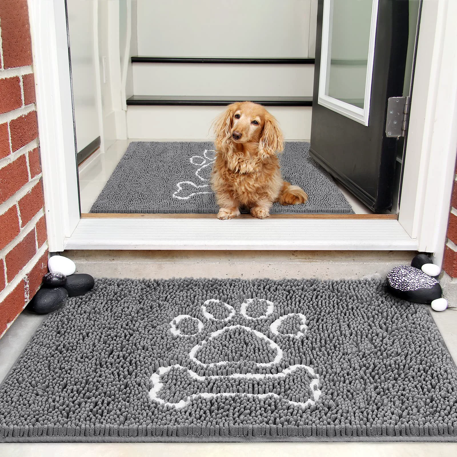 Innovative AROGAN Doormat Dog Chenille – Indoor Entrance Mat Grey 30x48 in Versatile