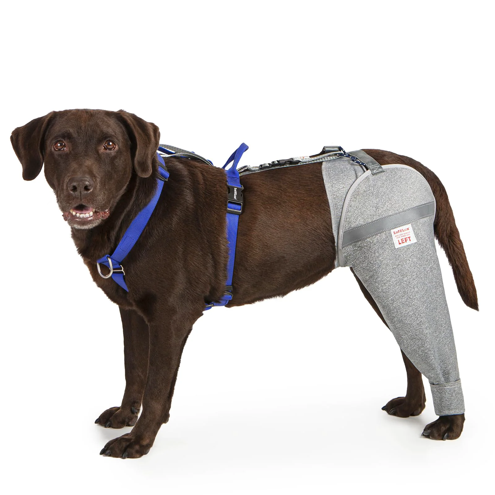 Exceptional LufeLux Dog Leg Sleeve for Post-Surgery Recovery Stop Licking Grey X-Large Original