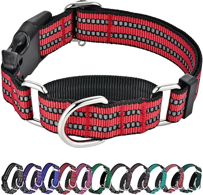 Authentic Hikiko Martingale Dog Collars Reflective Nylon Dog Collar Powerful