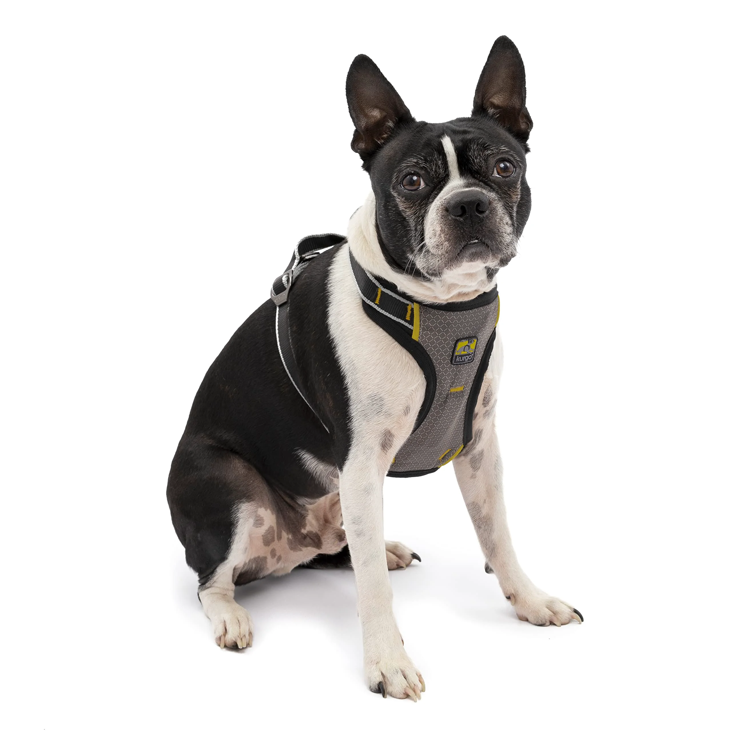 Trusted Kurgo Impact Dog Car Harness - Crash-Tested Safety Padded Chest Small Expertly Made