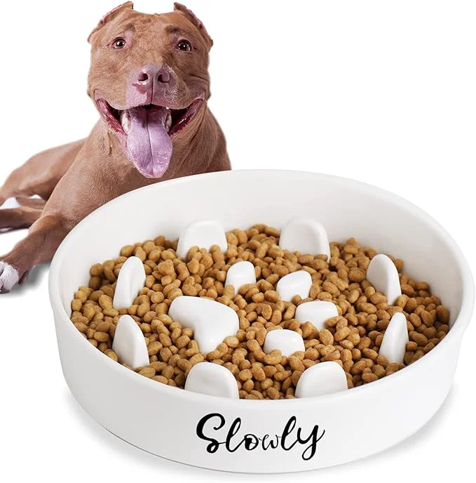 Carefully Designed Slow Feeder Dog Bowls Farmhouse Ceramic Fun Slow Eater Bowl for Medium Sized Dog WhiteAbout ThisOverview Fast
