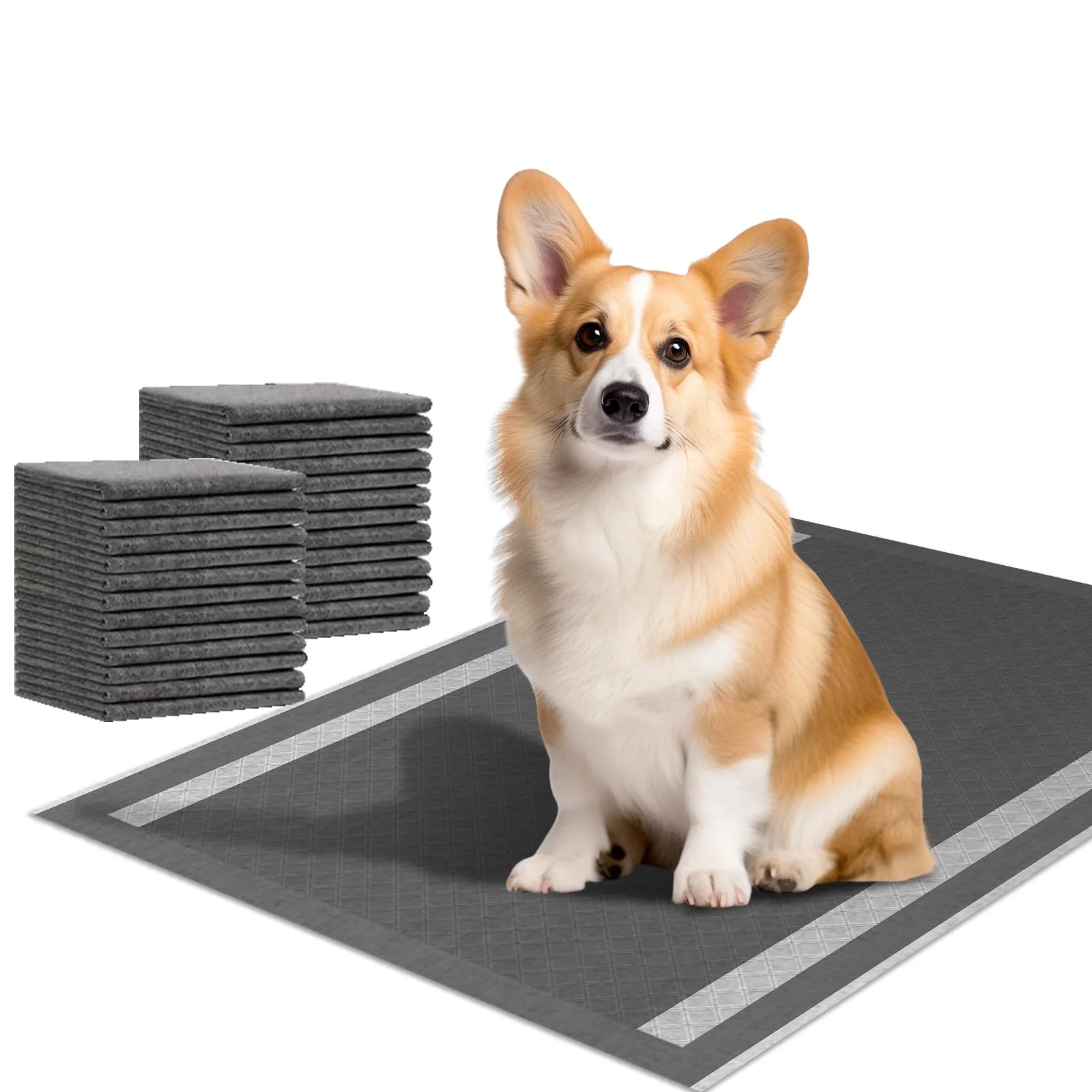 Innovative Camonti Dog Puppy Pee Pads 100 Count – 23x30 Charcoal Odor-Control Leak-Proof Quick-Dry Training Pads Fine