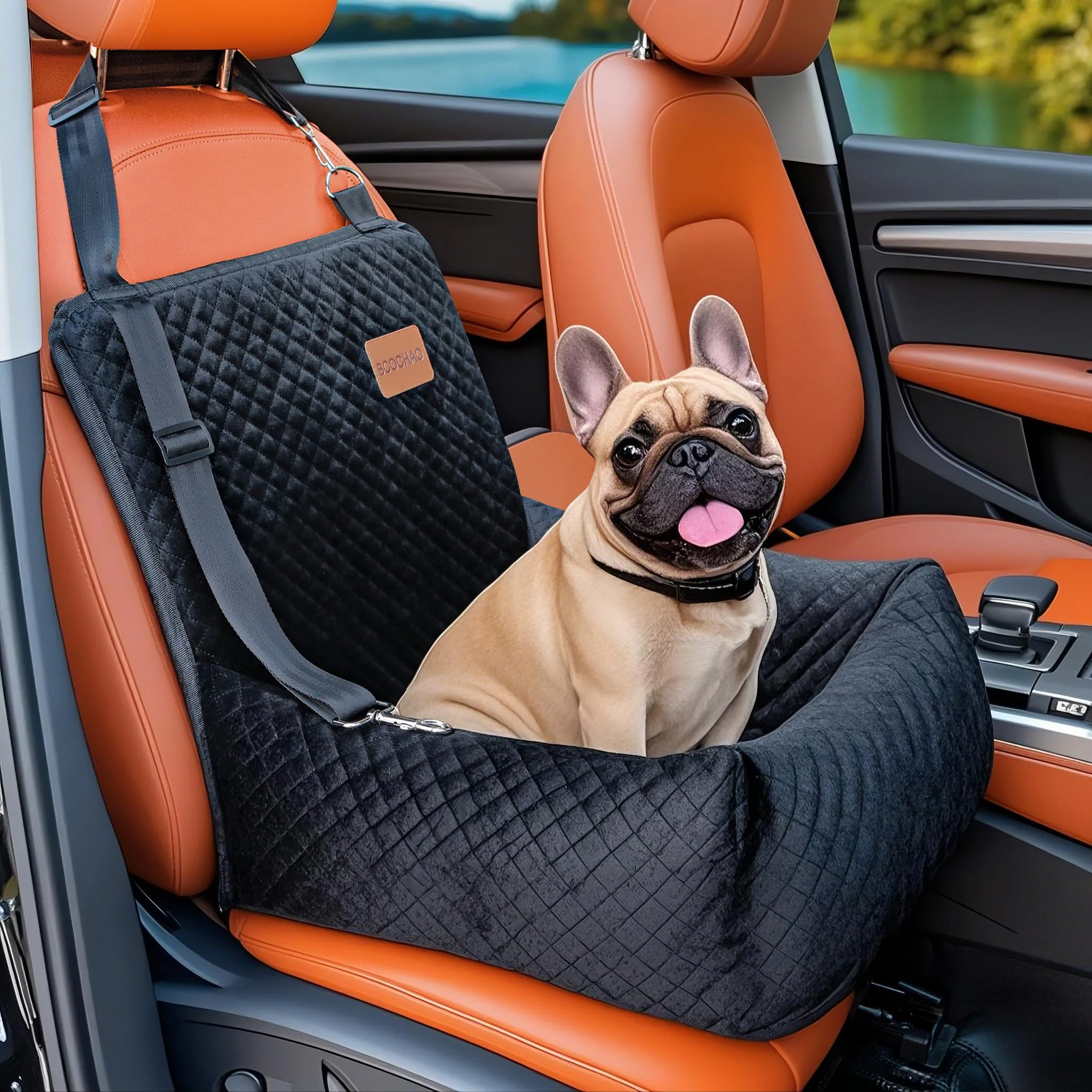 Environmentally Friendly BCOCHAO Dog Car Seat Booster — Safe Soft Travel Seat for Small Medium Dogs Efficient
