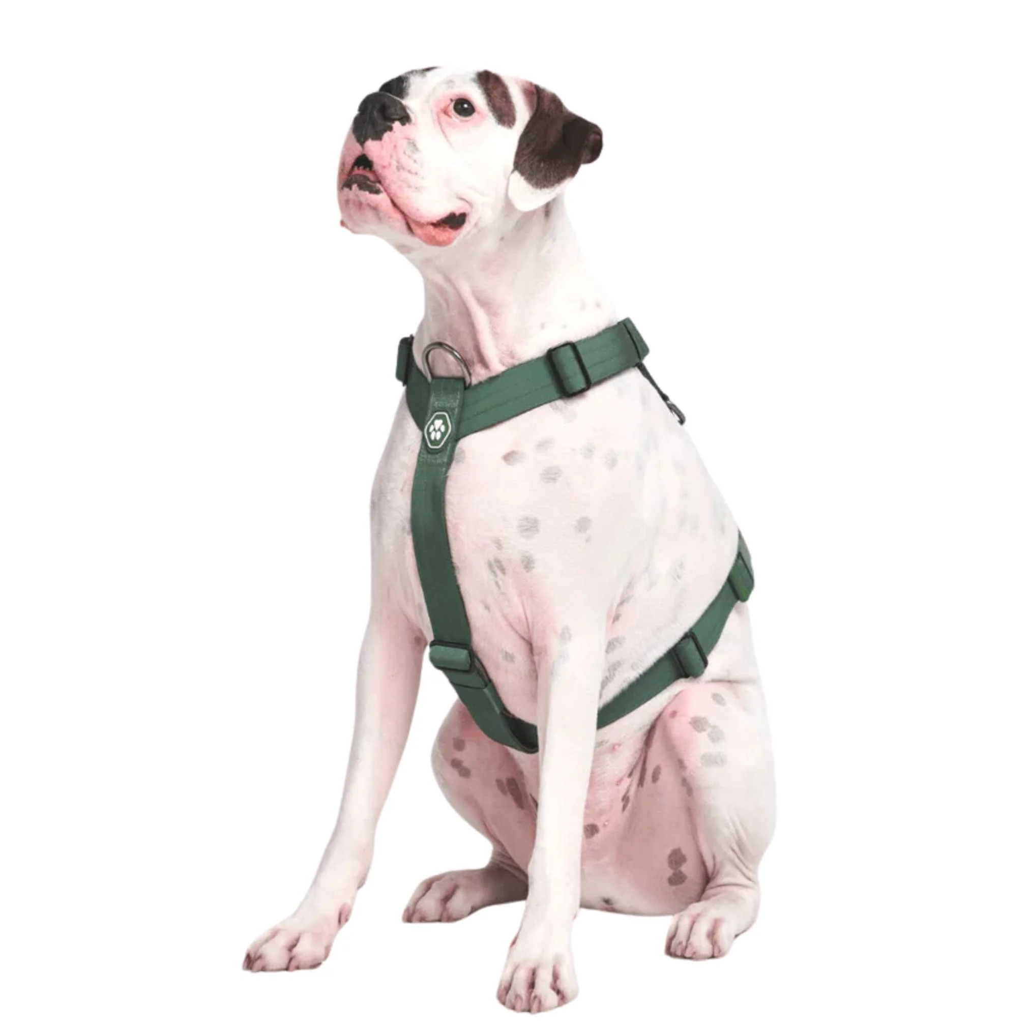 Carefully Designed Spark Paws No Pull Harness for Large Dogs – Heavy Duty Y Shaped Front Clip Solid Green Size M Natural