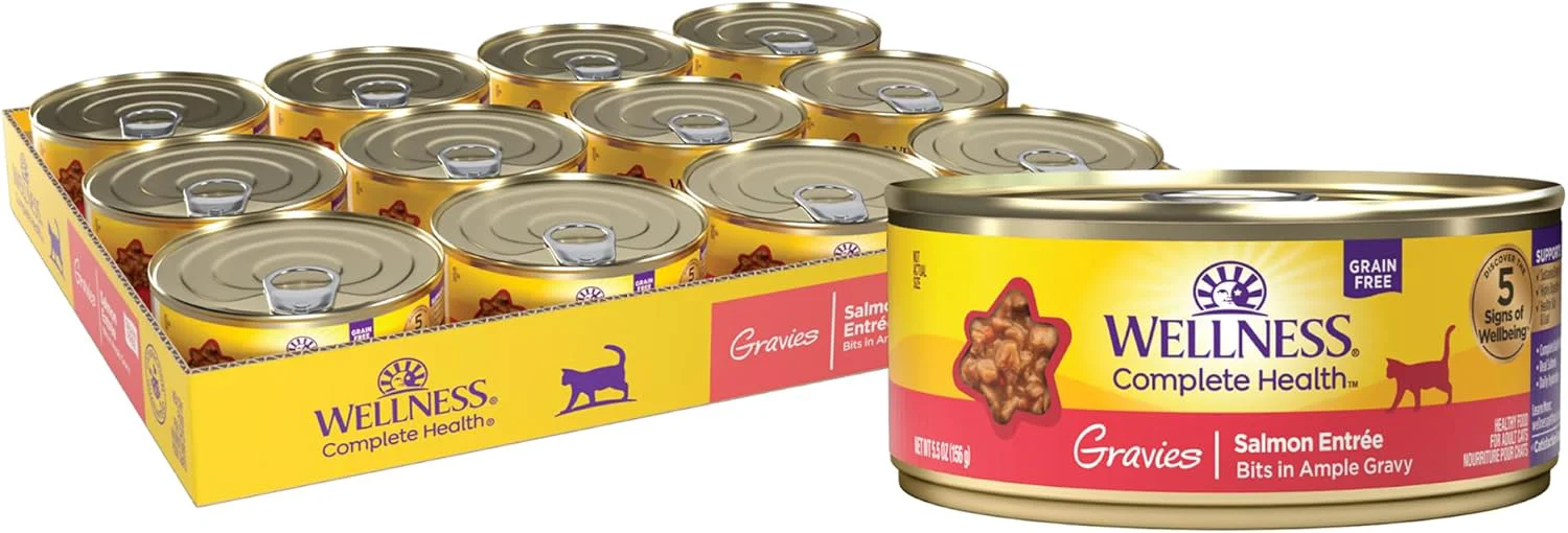 Clean Wellness Complete Health Gravy Adult Wet Cat Food Natural Protein-Rich Grain 5.5 Ounce 12 Pack Salmon Entree Sophisticated