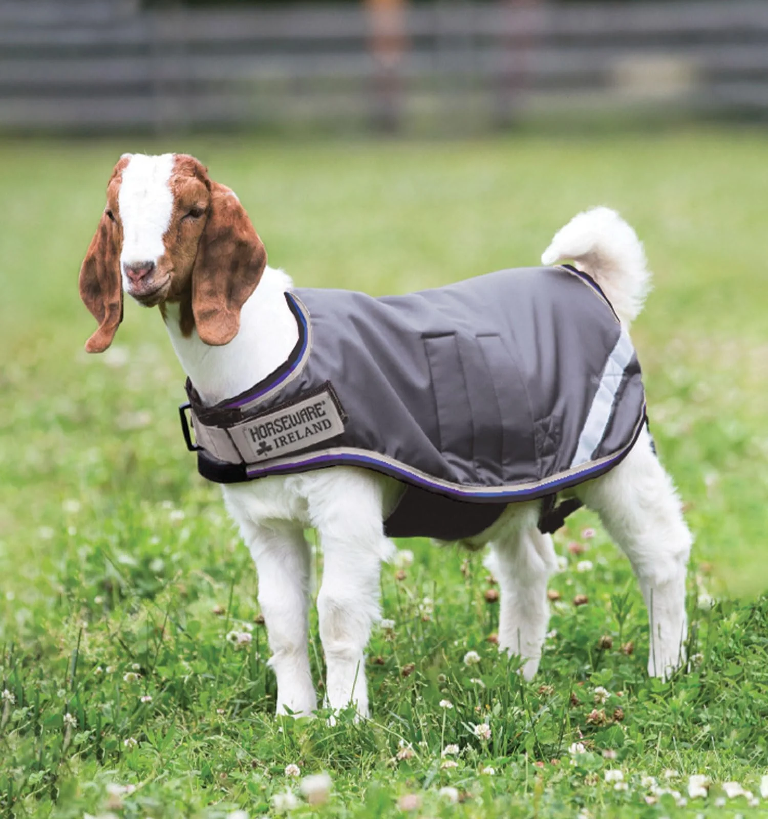 Durable Horseware Ireland Goat Coat - Breathable Waterproof Windproof 100g Fill X-Large Excalibur Silver Strong Blue Black Innovative