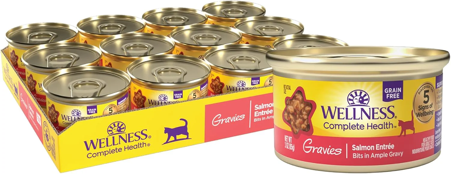 Dependable Wellness Complete Health Gravy Adult Wet Cat Food Natural Protein-Rich Grain 3 Ounce 12 Pack Salmon Entree Contemporary