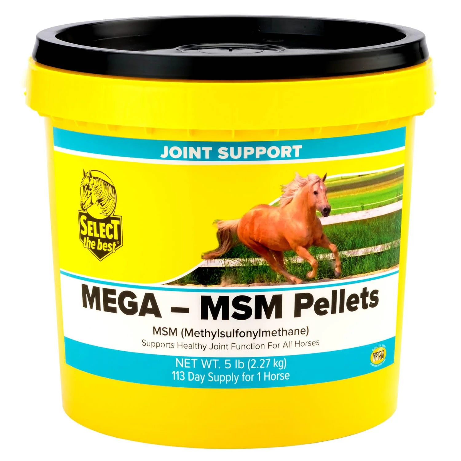 Trusted Select The Mega-MSM Pellets 5 lb – Easy Joint Support Pellets Traditional