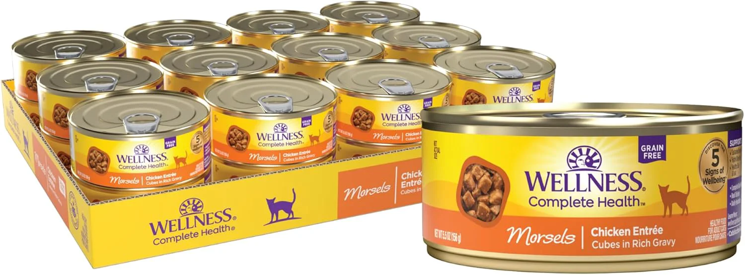 Recyclable Wellness Complete Health Cubed Adult Wet Cat Food Natural Protein-Rich Grain 5.5 Ounce 24 Pack Chicken Entrée Exclusive
