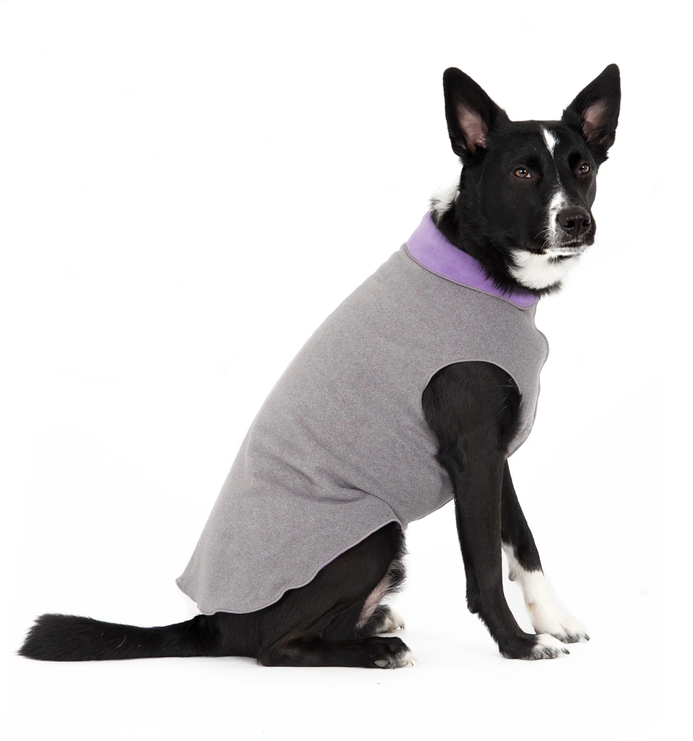 Advanced Goldpaw Duluth Double Fleece Dog Sweater Vest for Small Dogs – Soft Stretchy Reversible Fleece Machine Washable Charcoal Lavender Size 8 Professional