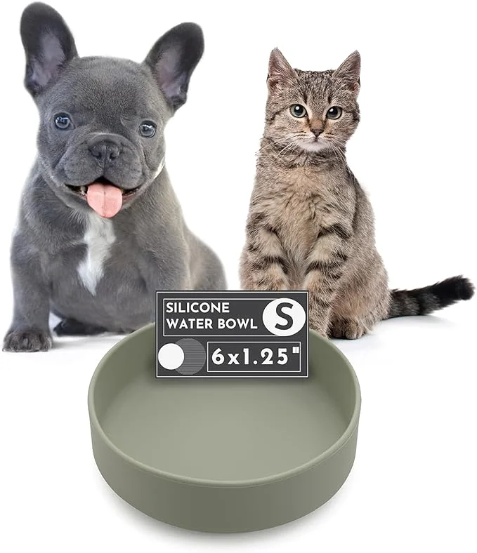Specialty Should We Go Dog Water Bowl - The Dish No-Spill Less Mess Non-Tippable Water Food Bowl Pure Silicone with Suction Cup Fits 2 Cups 6 Across x 1.25 Tall I for All Pets Small-SageAbout ThisOverview Casual