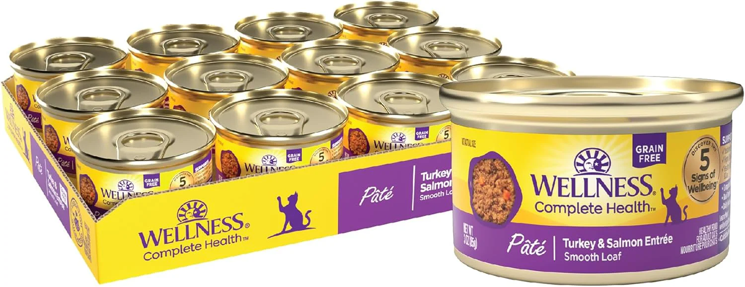 Modern Wellness Complete Health Pate Adult Wet Cat Food Natural Protein-Rich Grain 3 Ounce 24 Pack Turkey Salmon Fashionable