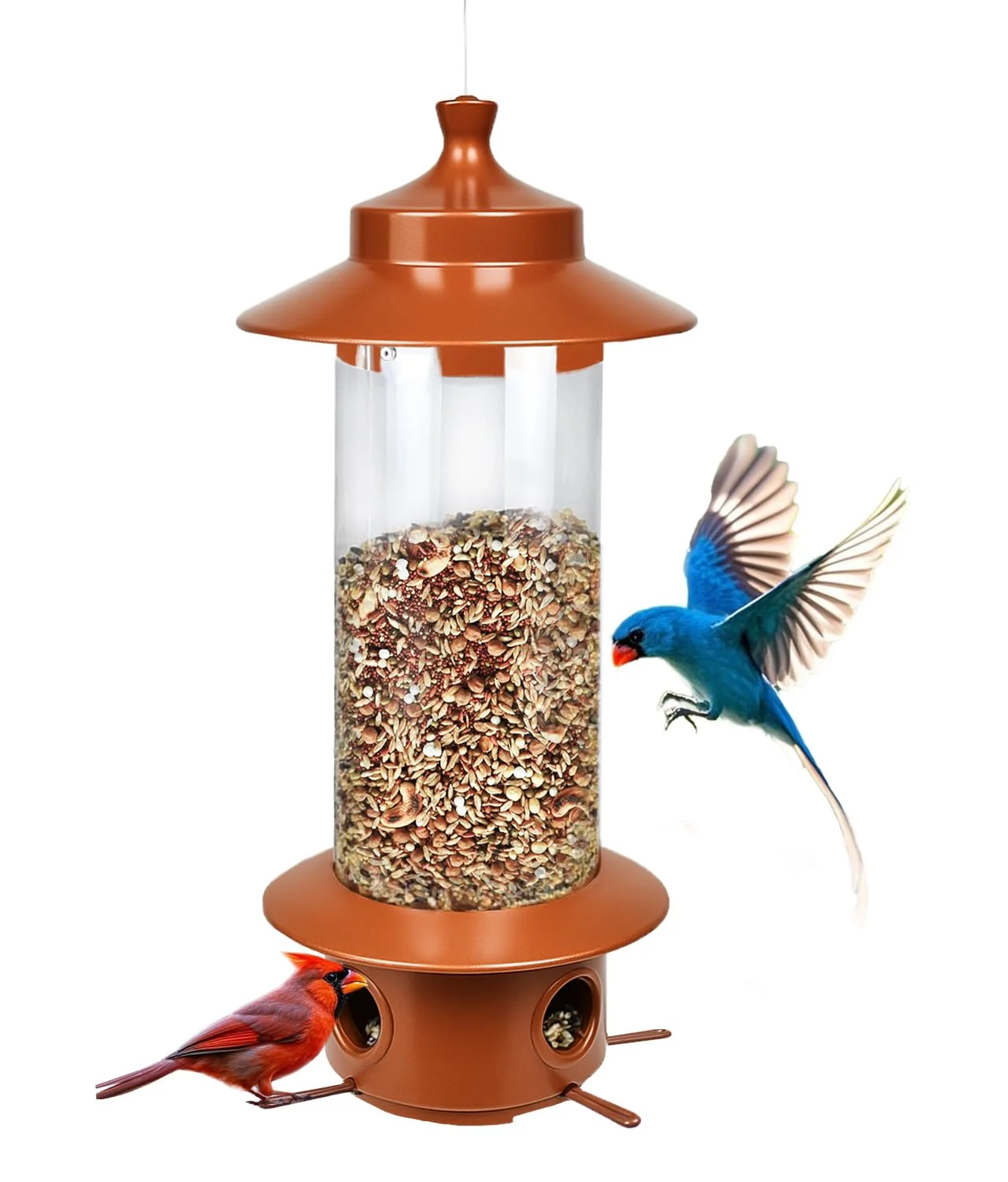 Certified LYKENTOR Squirrel-Proof Bird Feeder – Gravity Sense 4.8 lb Large Capacity Hanging Feeder Versatile