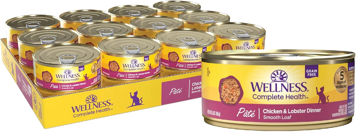Certified Wellness Complete Health Natural Grain Wet Canned Cat Food Chicken Lobster Pate 5-Ounce Can Pack of 24 Responsible