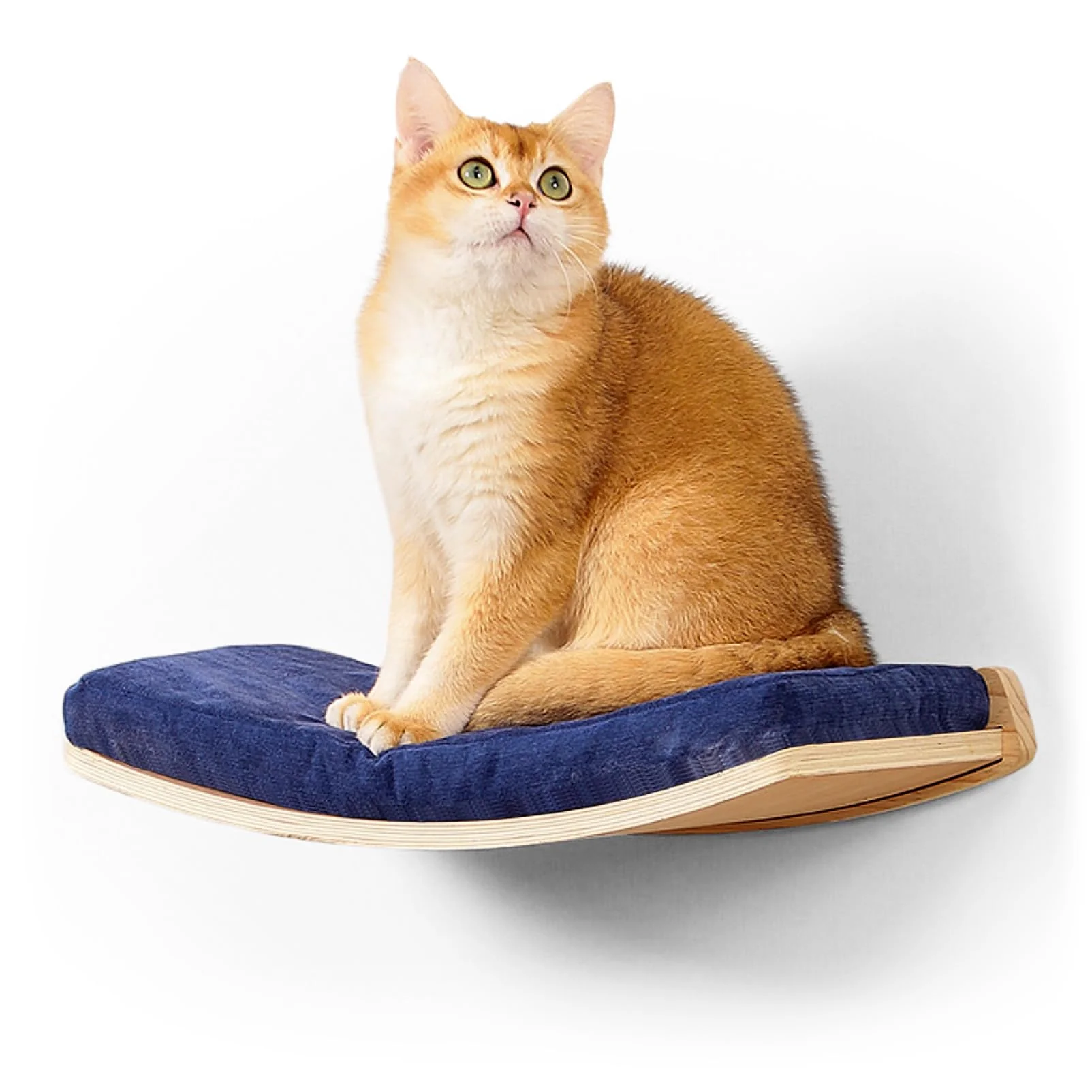Artisan COOLEX Curved Cat Shelves Perches — Floating Wall Bed with Cushion Eco-Friendly