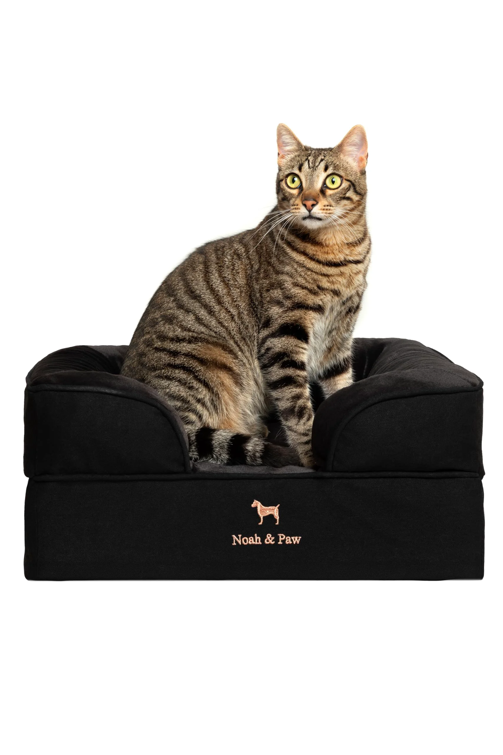 Versatile NOAH PAW Small Dog Bed 20x15x8 Orthopedic Eggshell Memory Foam with Cooling Gel – Denim Collection Fine