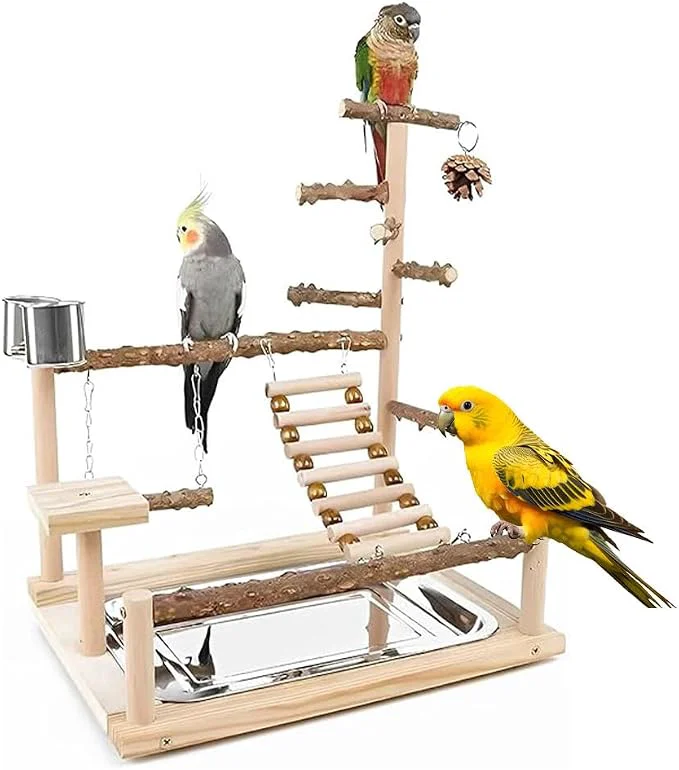 Reliable Bird Playground Parrot Playstand Parrot Stand Bird Wood Tall Standing Block Refined