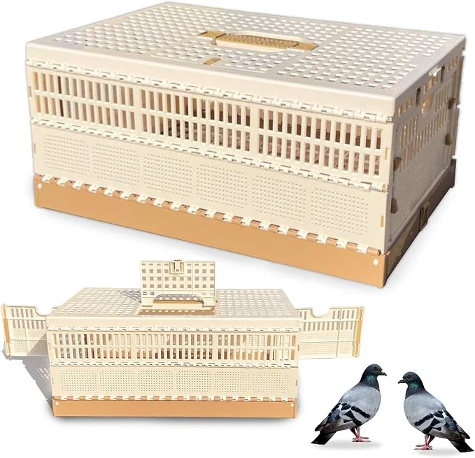 Specialty Folding Pigeon Cage Racing Pigeons Travel Cage Pairing Cage Plastic Three Doors Dependable