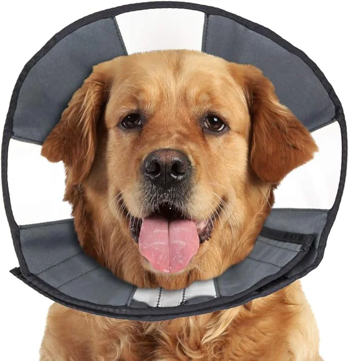 Prestigious ZenPet Recovery Cone E-Collar for Dogs Cats – Soft Comfortable Safe High-Performance