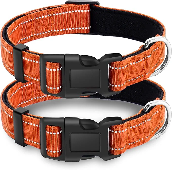 Clean 2 Pack Reflective Dog Collar Solid