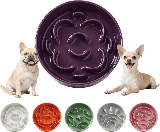 Quality Ceramic Slow Feeder Dog Bowl - Feeding Dish for Fast Eaters - Maze Dog Bowl to Slow Down Eating - I Food Control Dish for Small Breeds - 0.8 Cups 80g - 6.3 Inch - PurpleAbout ThisOverview Top-Quality